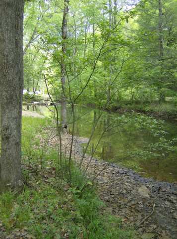 104 Pipe Line Lane Cleveland, SC 29635 - Photo 22 of 25 Gallery Image 22