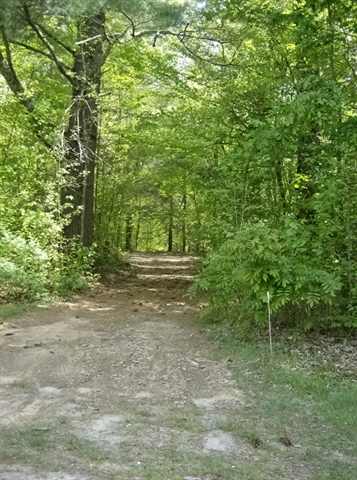 104 Pipe Line Lane Cleveland, SC 29635 - Photo 23 of 25 Gallery Image 23