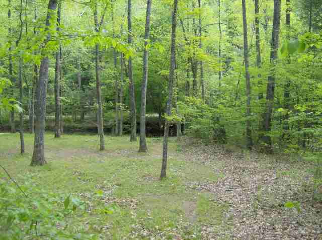 104 Pipe Line Lane Cleveland, SC 29635 - Photo 24 of 25 Gallery Image 24