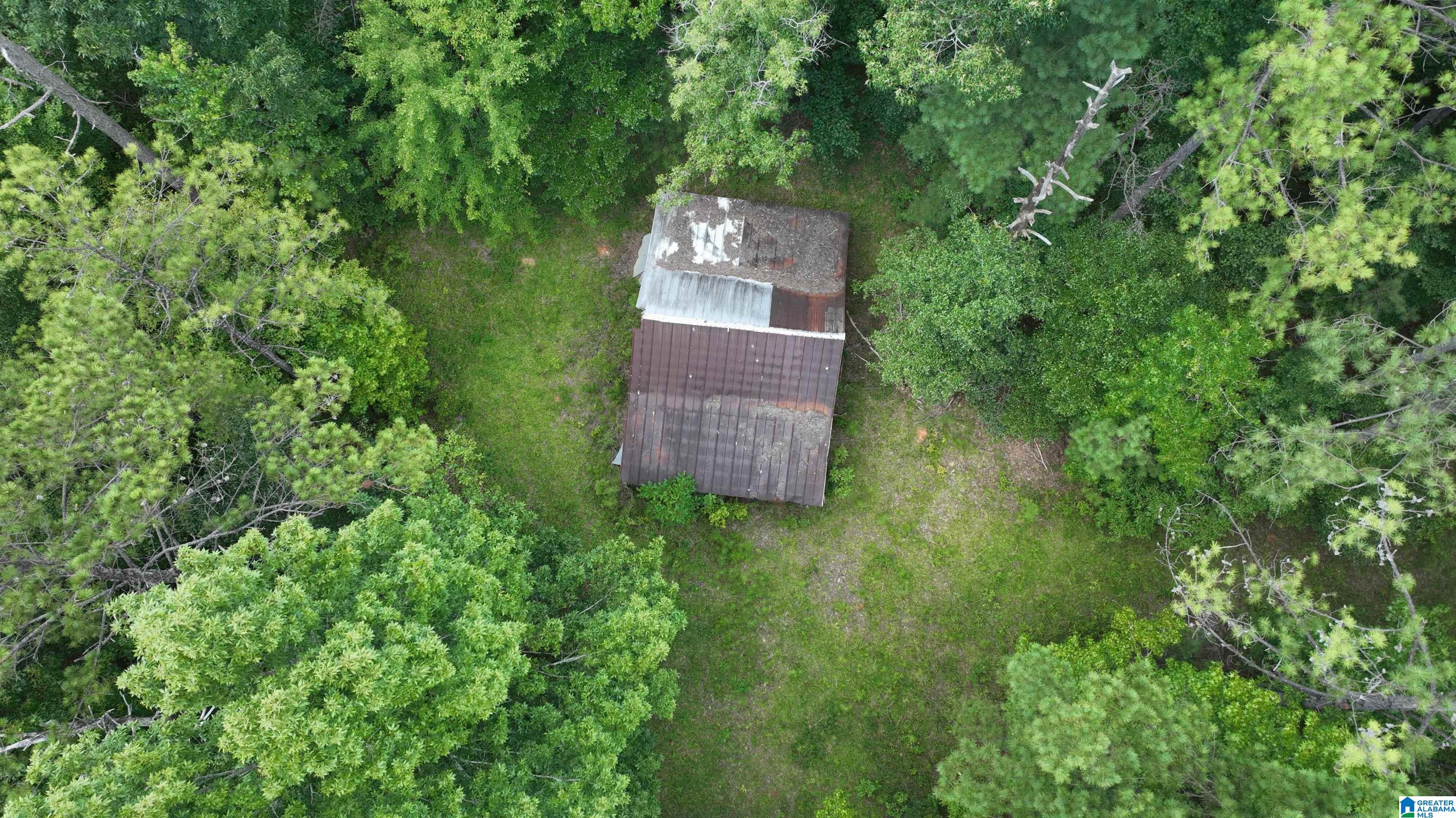 0 South Shackleville Road Georgiana, AL 36033 - Photo 18 of 22