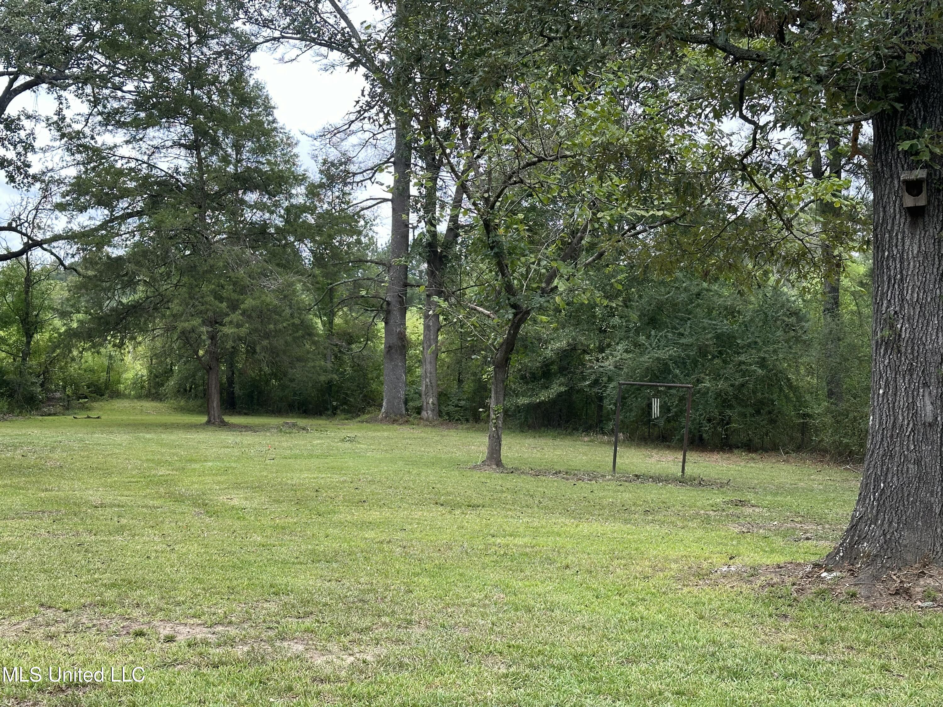 1871 Turtle Road Byram, MS 39272 - Photo 16 of 16 Yard Area