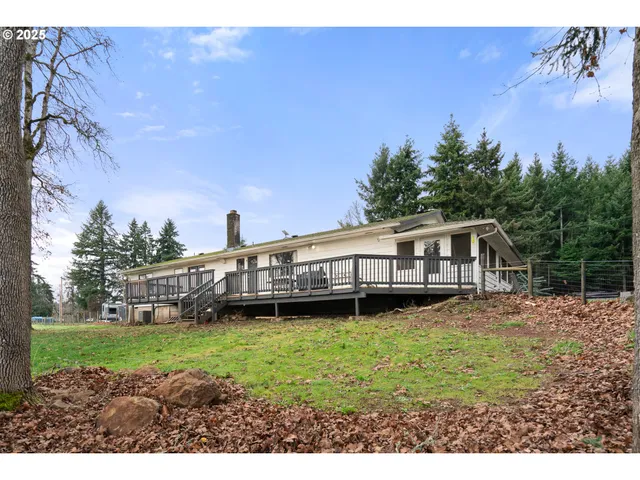 a view of a park with large trees
