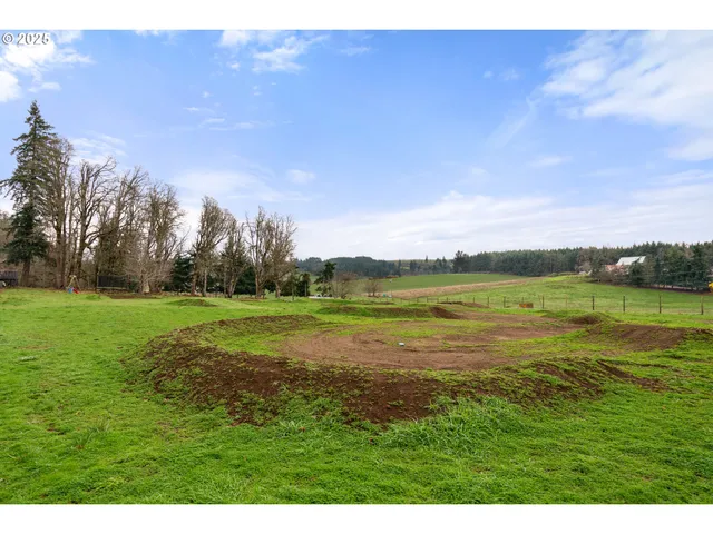 a view of a park with large trees