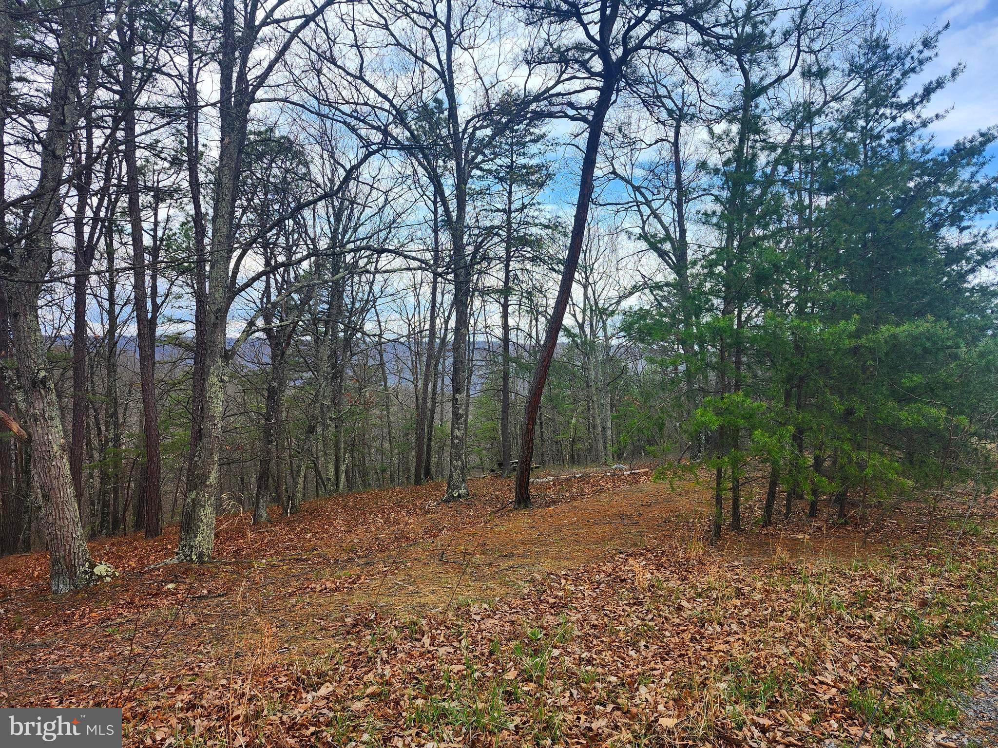 4.73-ac Brown Cardinal Ridge Romney, WV 26757 - Photo 11 of 13 a backyard of a house with lots of green space