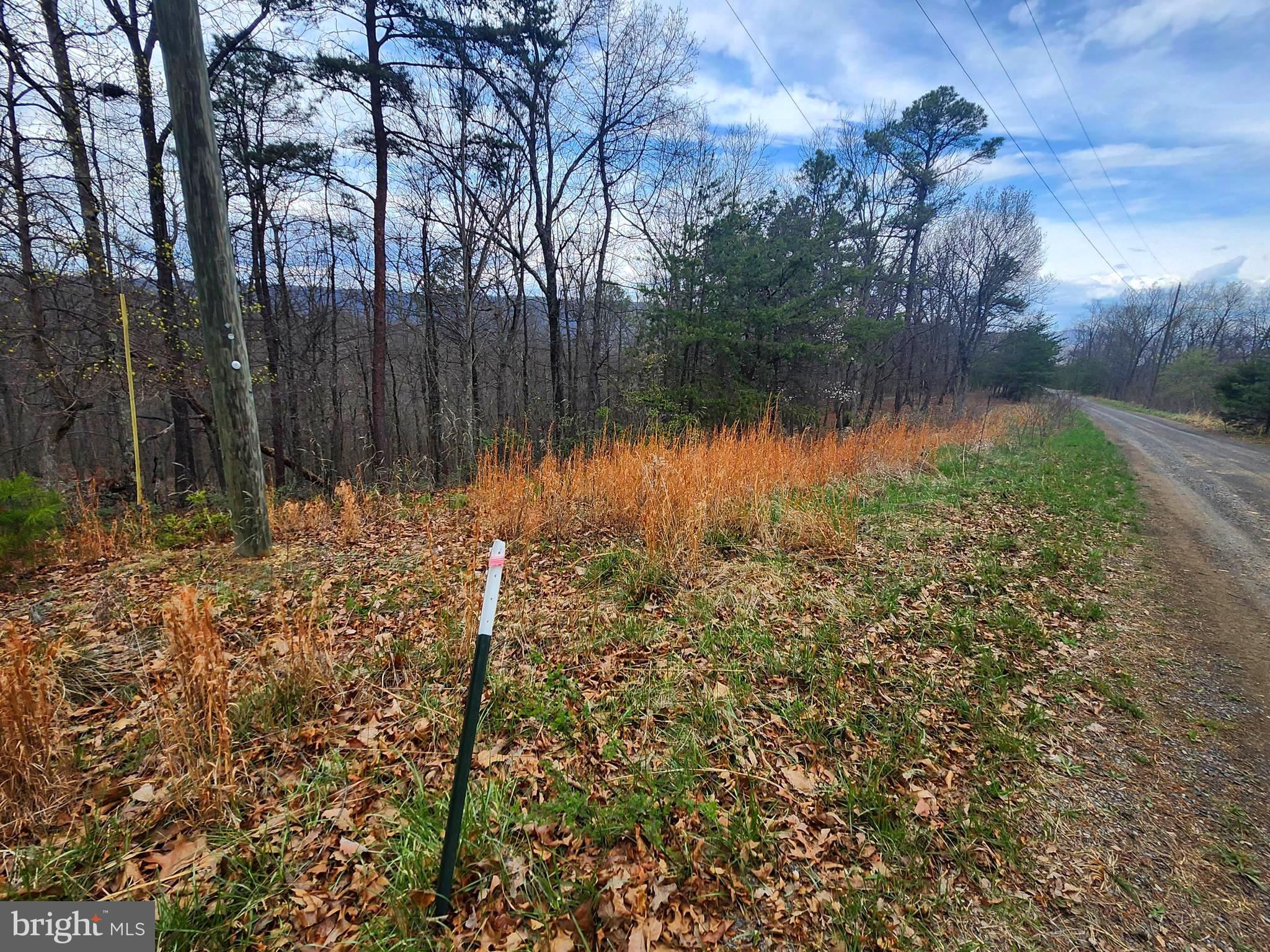 4.73-ac Brown Cardinal Ridge Romney, WV 26757 - Photo 12 of 13 a backyard of a house with lots of green space