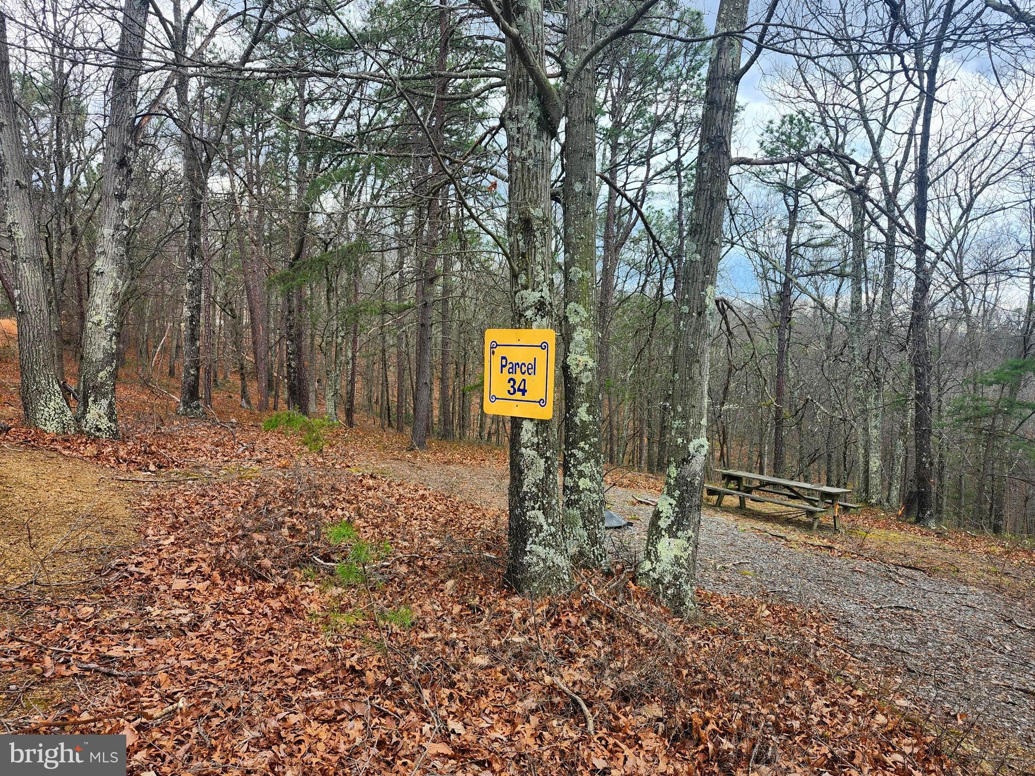 4.73-ac Brown Cardinal Ridge Romney, WV 26757 - Photo 2 of 13 a backyard of a house with lots of green space
