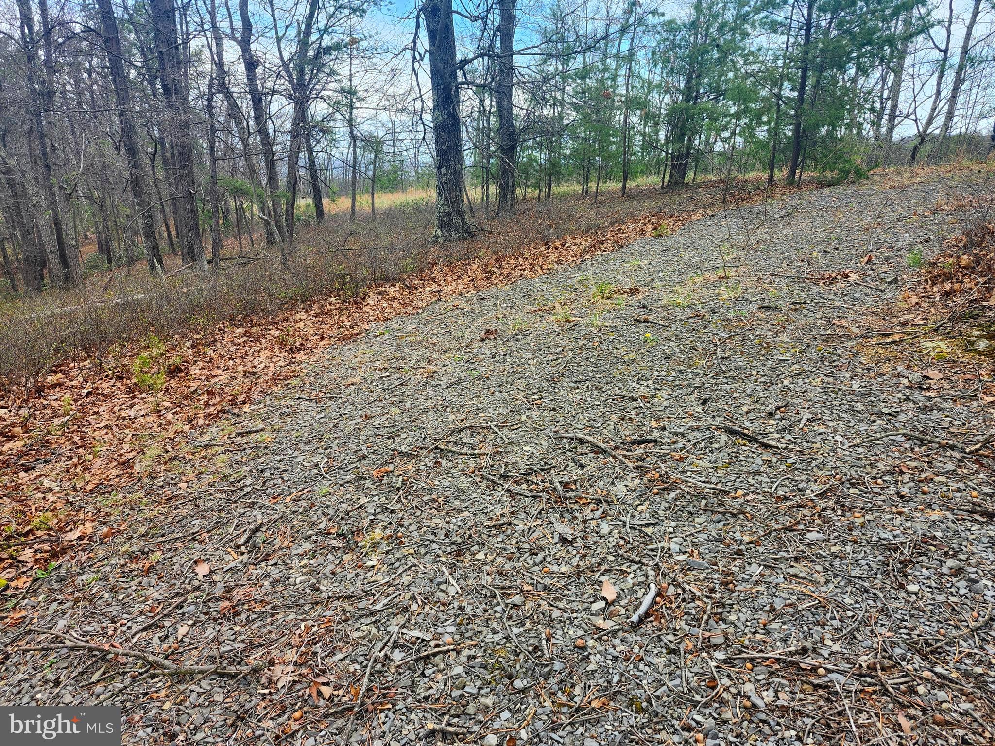 4.73-ac Brown Cardinal Ridge Romney, WV 26757 - Photo 8 of 13 a backyard of a house with lots of green space