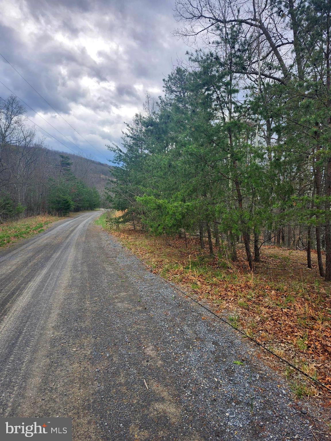 4.73-ac Brown Cardinal Ridge Romney, WV 26757 - Photo 9 of 13 a view of a dirt road with trees