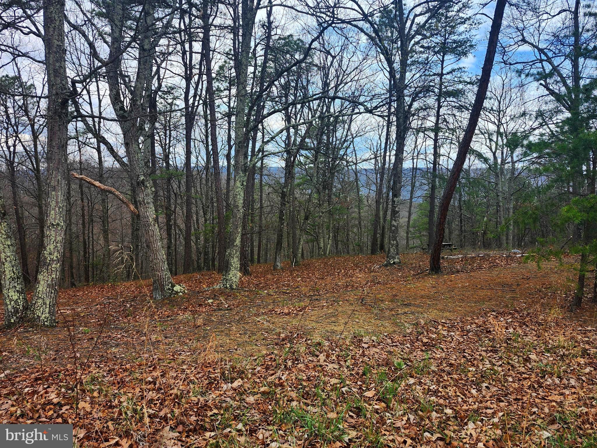 4.73-ac Brown Cardinal Ridge Romney, WV 26757 - Photo 10 of 13 a fire hydrant in the middle of a field