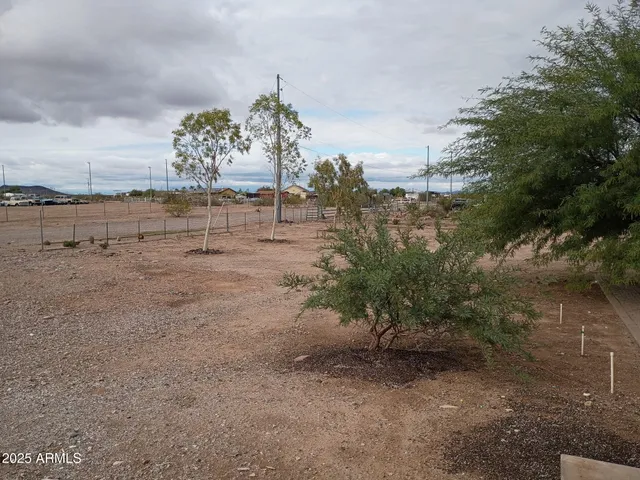 a view of a lake with lots of trees