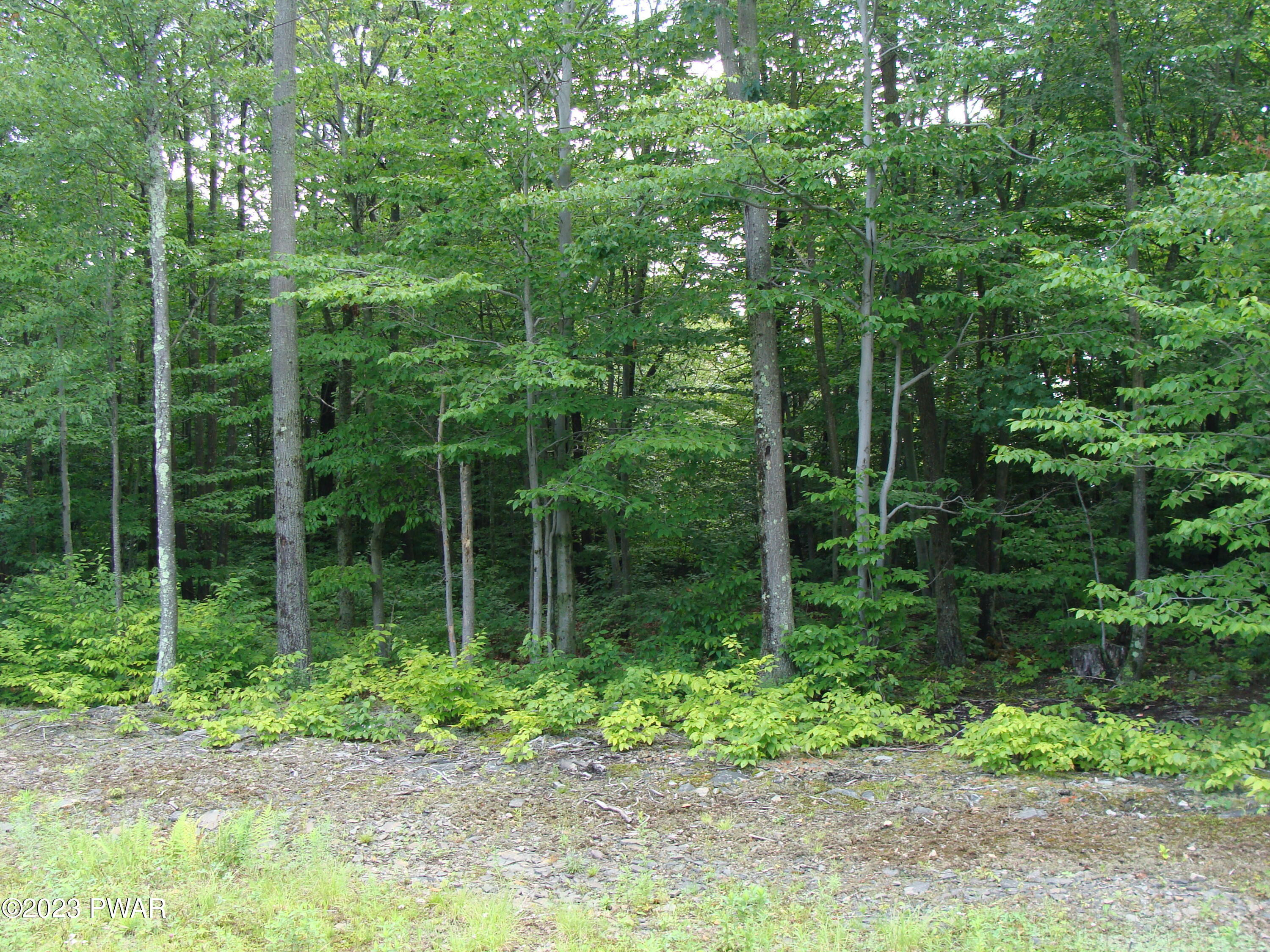 445 Summit Woods Road Moscow, PA 18444 - Photo 3 of 7 DSC01026