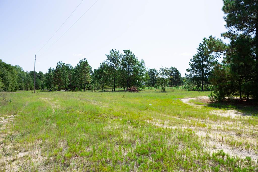 1161 Cumbee Trail Road Aiken, SC 29805 - Photo 31 of 33