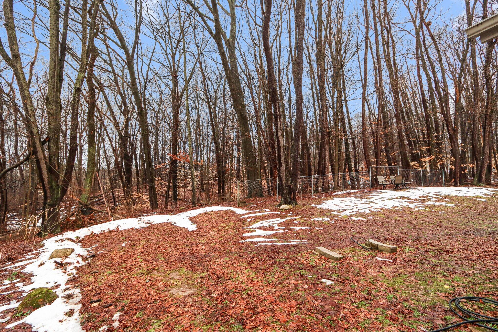 1938 Lincoln Road Allegan, MI 49010 - Photo 41 of 51 Yard