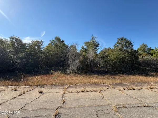 $5,950 | Lot 6 Brighton Avenue, Chipley, FL 32428