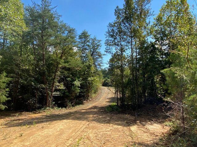 4 Athens Road Calhoun, TN 37309 - Photo 6 of 17