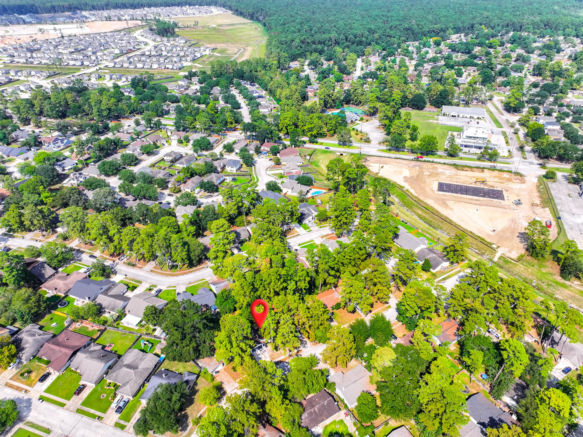 5311 Oaklynn Drive Spring, TX 77373 - Photo 33 of 33 a picture of flowers