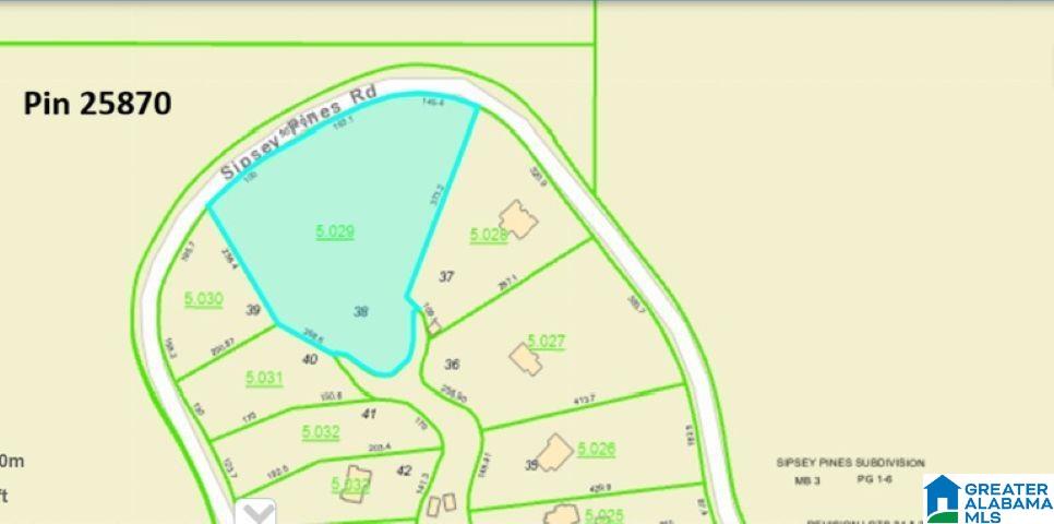 Lot 38 Sipsey Pines Road, Unit 38 Arley, AL 35541 - Photo 1 of 4