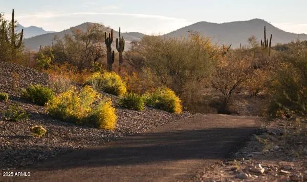 a view of a yard with large tree
