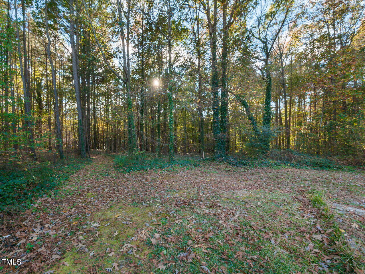 511 Strother Road Raleigh, NC 27606 - Photo 29 of 42 Rear yard
