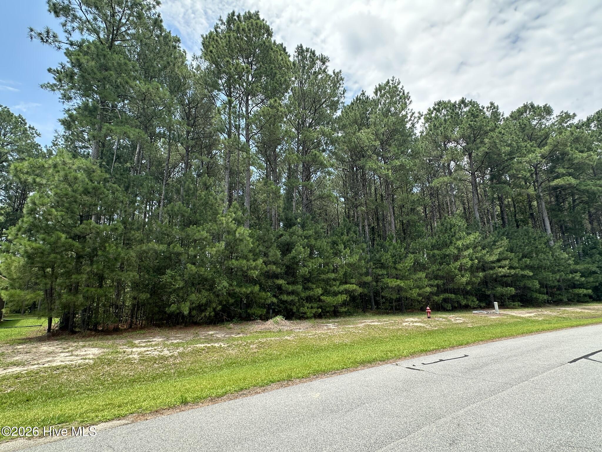 437 Riversound Drive Edenton, NC 27932 - Photo 1 of 6