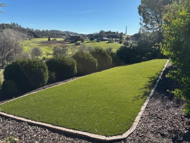 a view of a lake from a yard