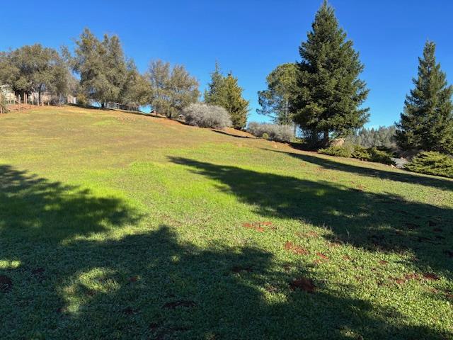 2579 Otter Trail Cool, CA 95614 - Photo 36 of 53 a view of an ocean from a yard