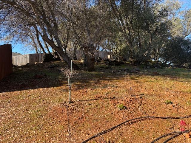 2579 Otter Trail Cool, CA 95614 - Photo 48 of 53 a view of a backyard