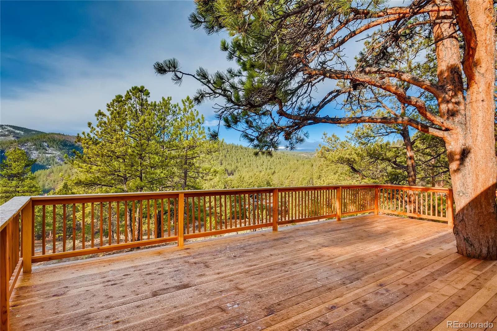 16699 Ouray Road East Pine, CO 80470 - Photo 19 of 39 Gallery Image 19