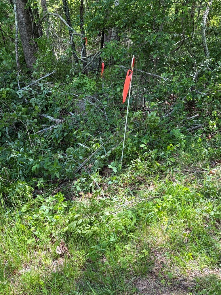 0 Lawton Foster Road South Hopkinton, RI 02833 - Photo 16 of 19 Entrance to lot 77C.