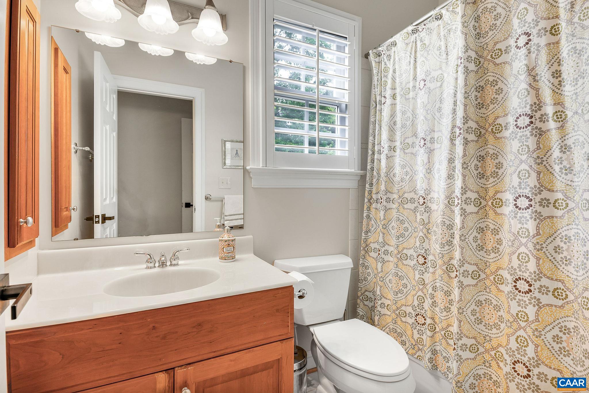 3399 Darby Road Keswick, VA 22947 - Photo 43 of 73 a bathroom with a sink a toilet a mirror and a window