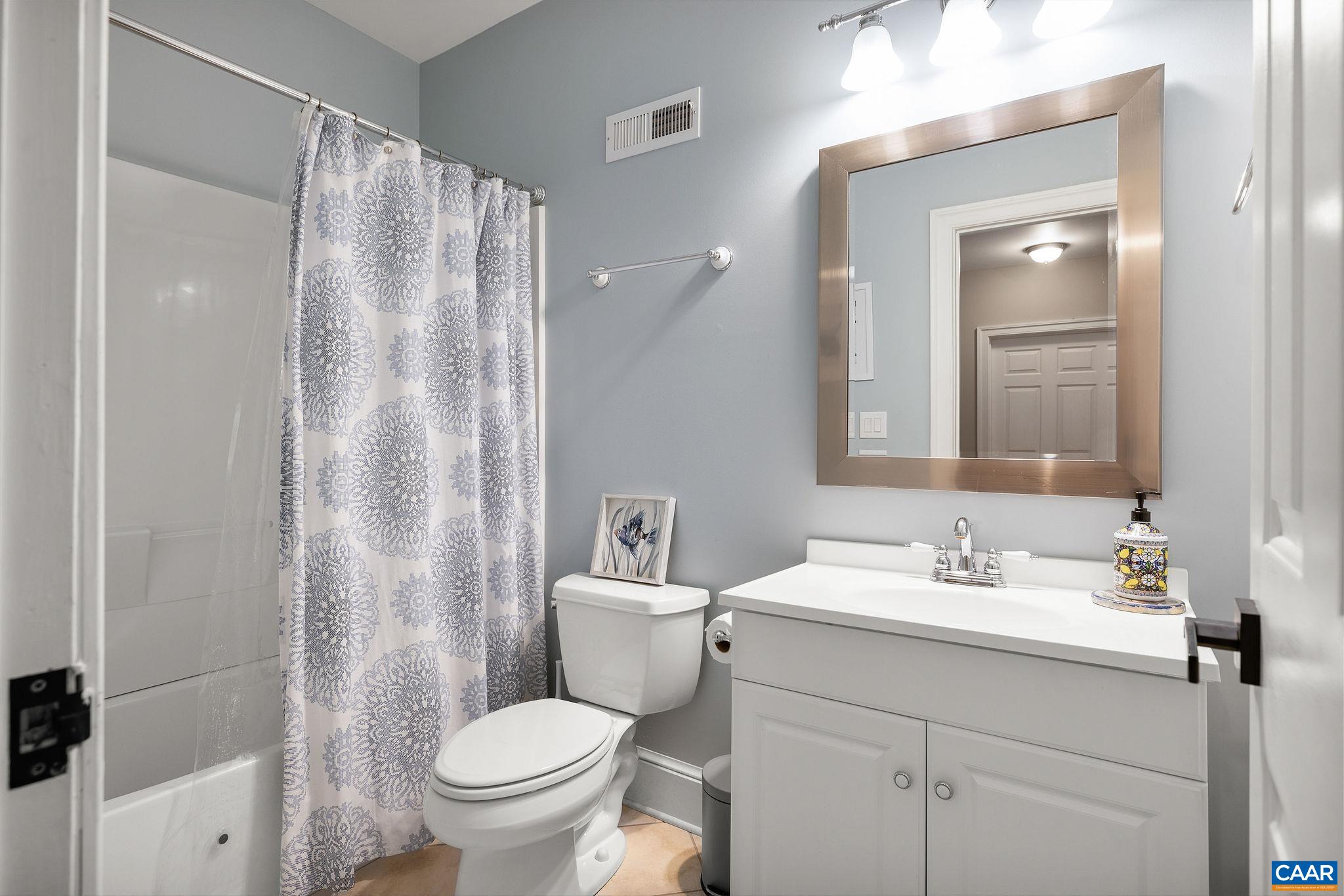 3399 Darby Road Keswick, VA 22947 - Photo 45 of 73 a bathroom with a sink a toilet and shower