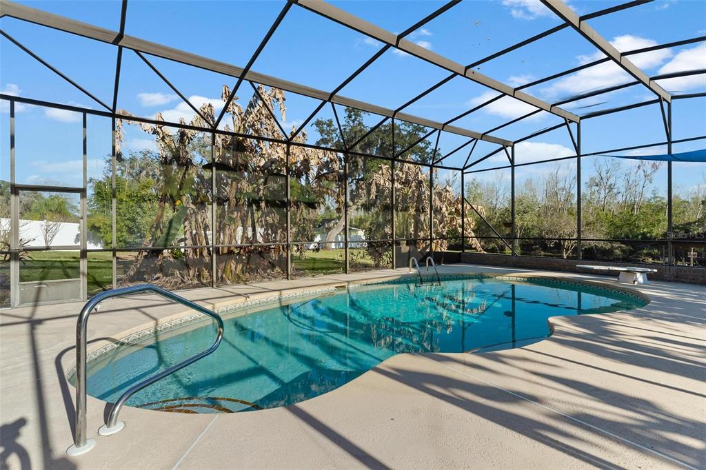 5411 Magnolia Ridge Road Fruitland Park, FL 34731 - Photo 50 of 92