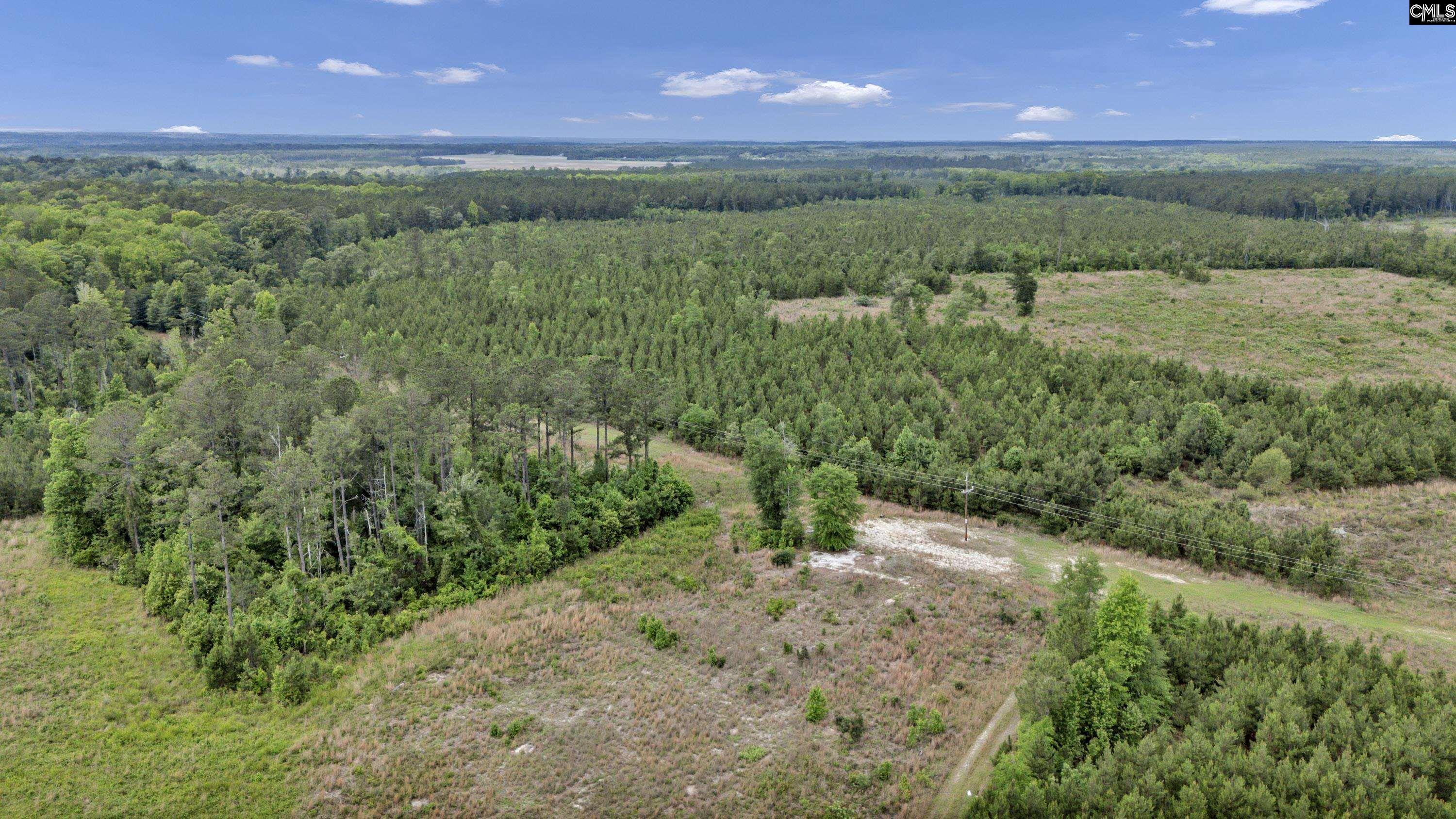 Na Bull Swamp Road North, SC 29112 - Photo 11 of 28