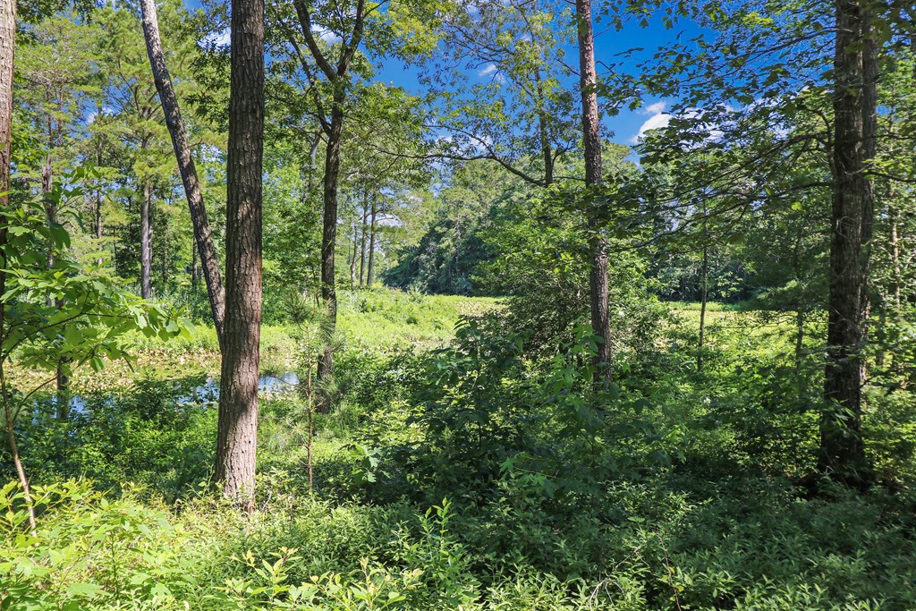 Lot 6 Fleming Road, Unit 6 Horntown, VA 23395 - Photo 12 of 26