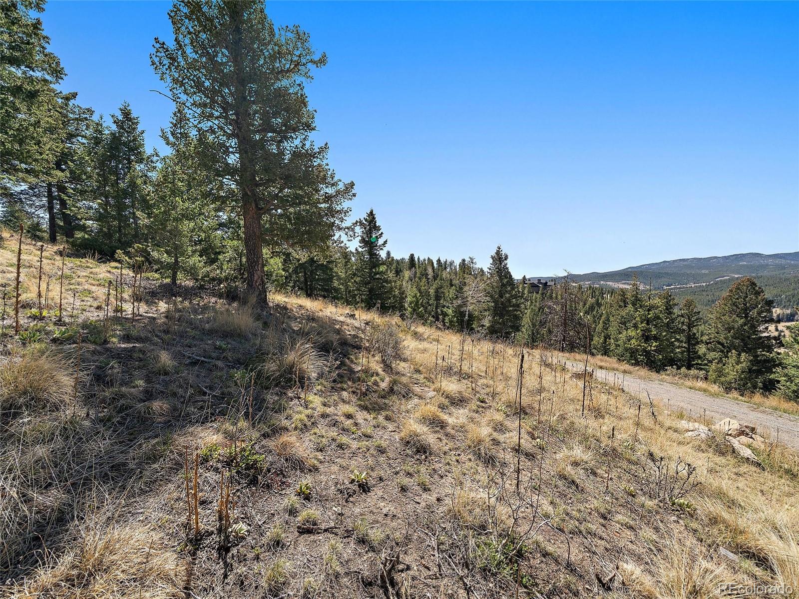 Lynx Lair Road Evergreen, CO 80439 - Photo 12 of 30 a view of a dry yard with trees in the background