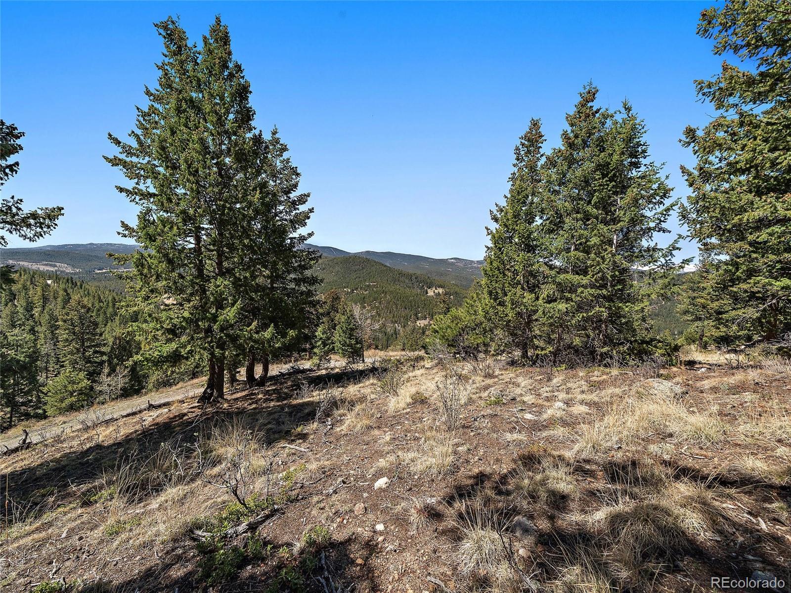 Lynx Lair Road Evergreen, CO 80439 - Photo 13 of 30 a view of outdoor space and yard
