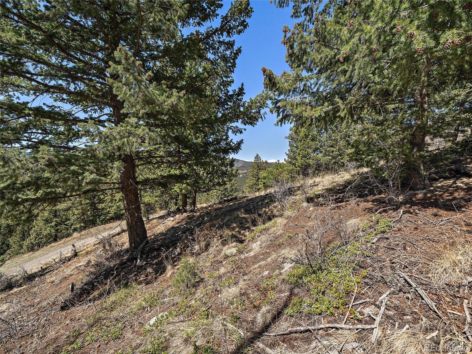 Lynx Lair Road Evergreen, CO 80439 - Photo 15 of 30 a view of a forest with trees