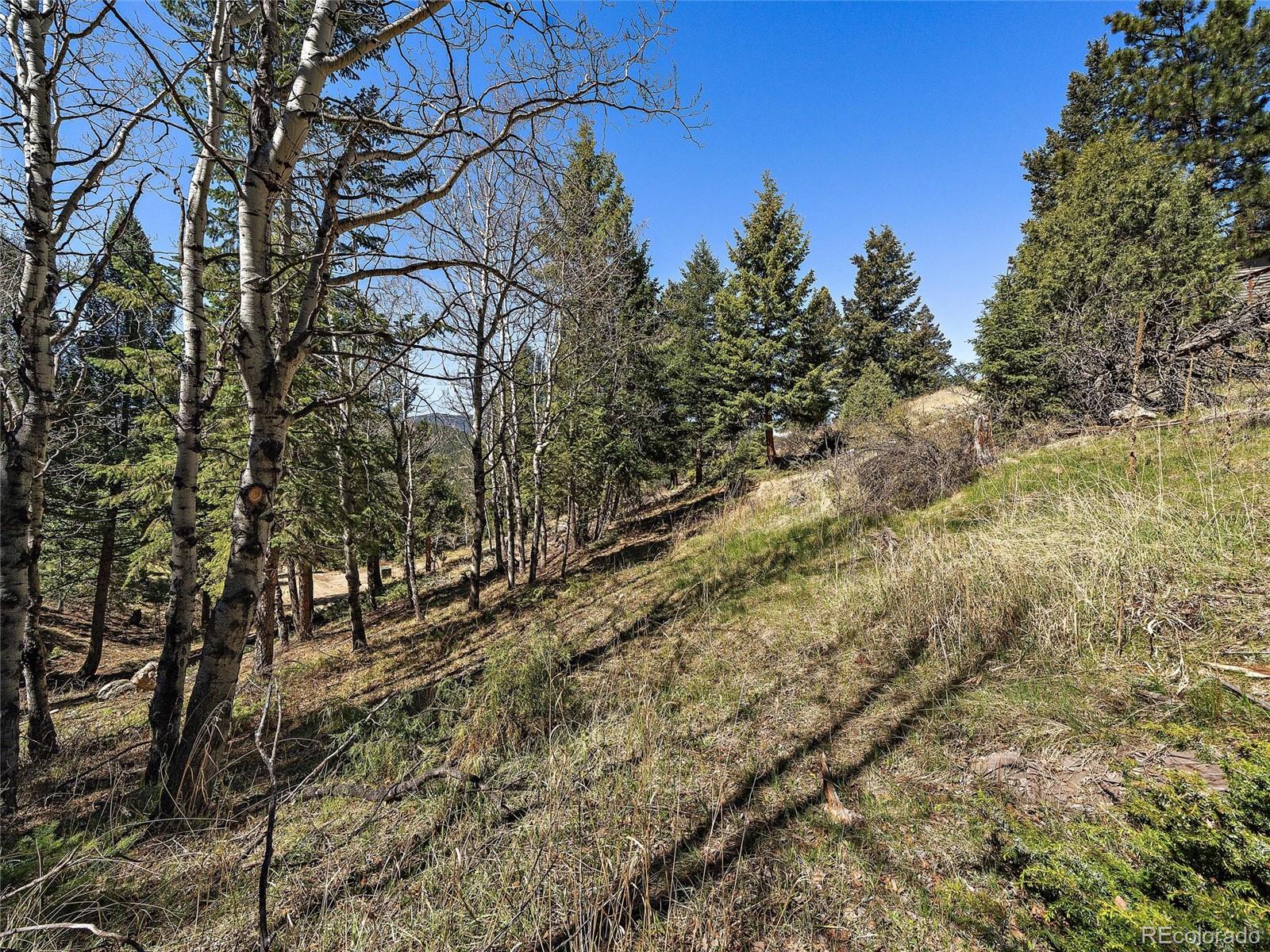 Lynx Lair Road Evergreen, CO 80439 - Photo 16 of 30 a view of a yard with a tree