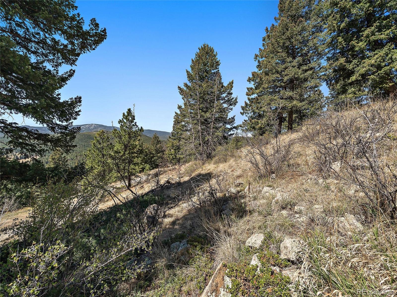 Lynx Lair Road Evergreen, CO 80439 - Photo 18 of 30 a view of a forest with lots of trees
