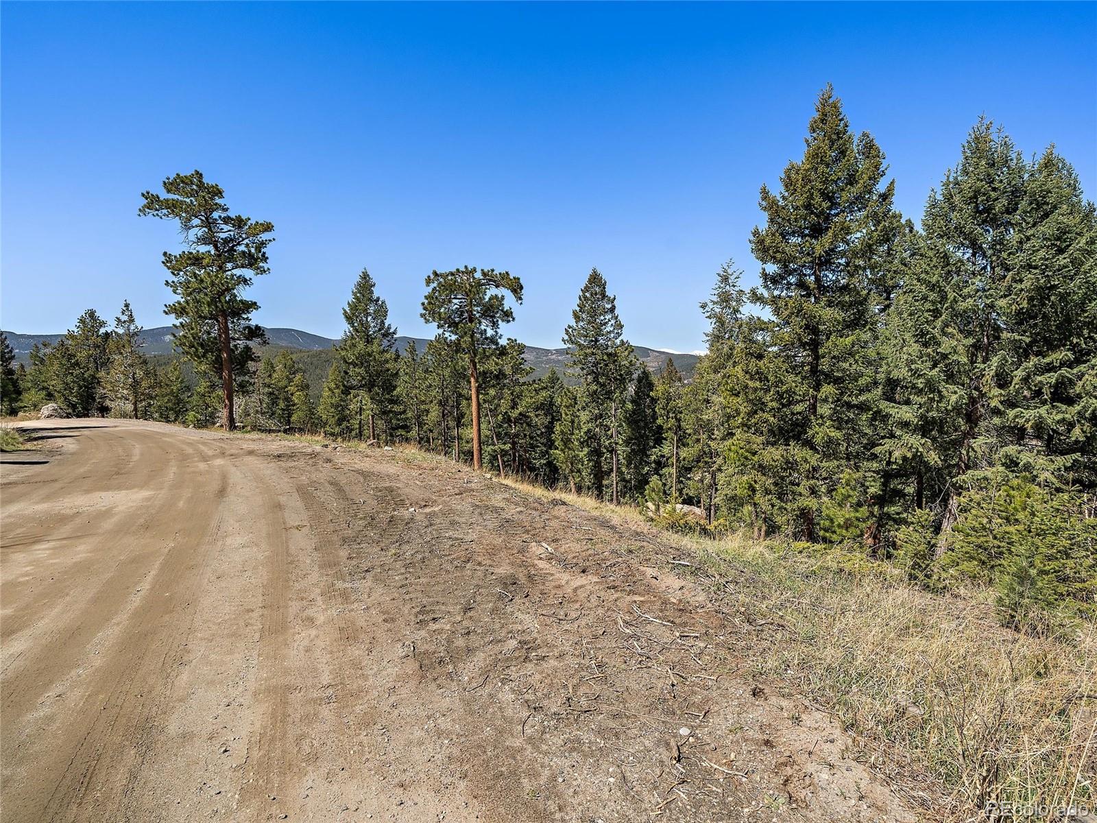 Lynx Lair Road Evergreen, CO 80439 - Photo 4 of 30 a view of a dry yard with trees in the background