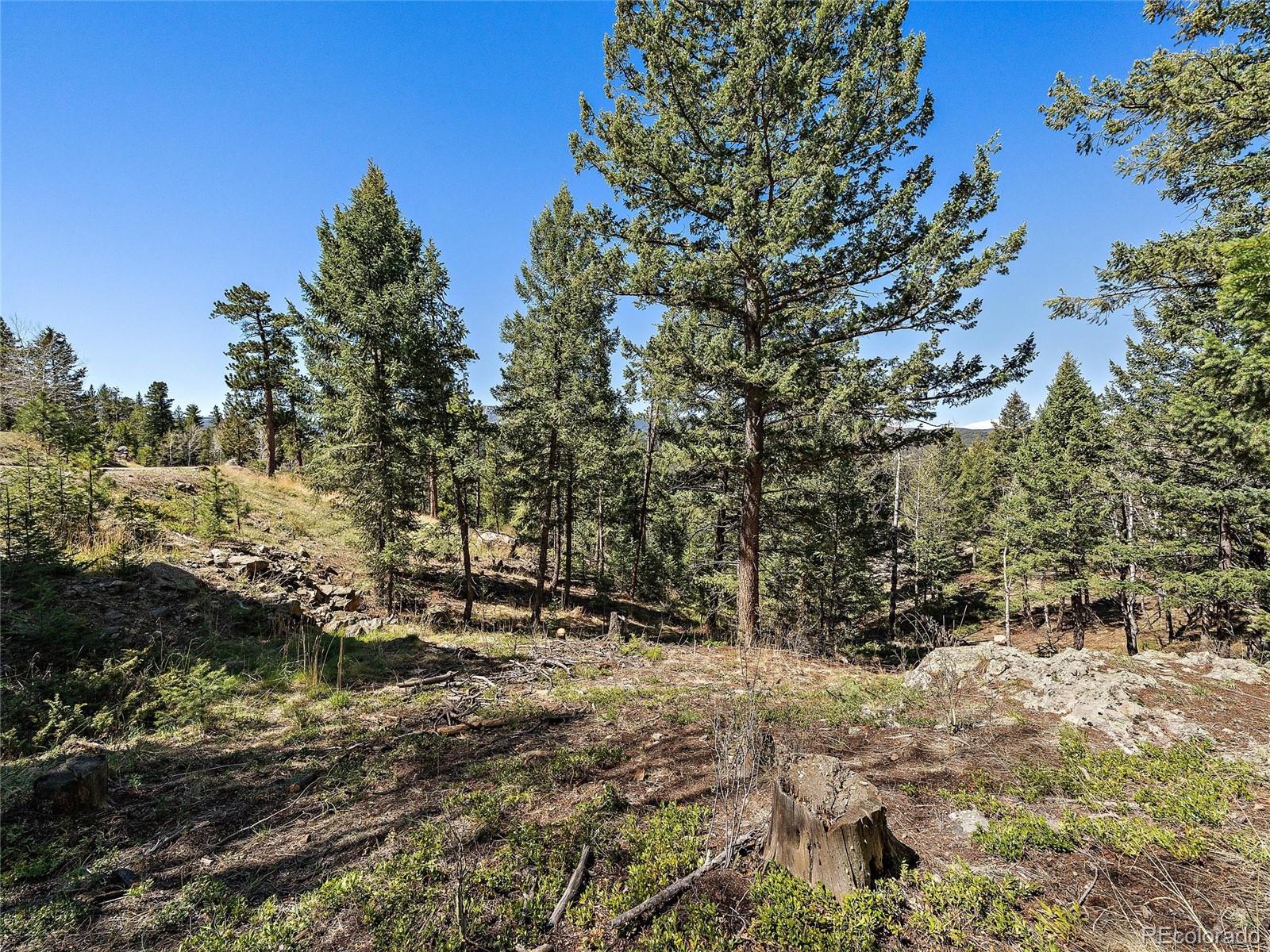 Lynx Lair Road Evergreen, CO 80439 - Photo 6 of 30 a view of outdoor space with trees