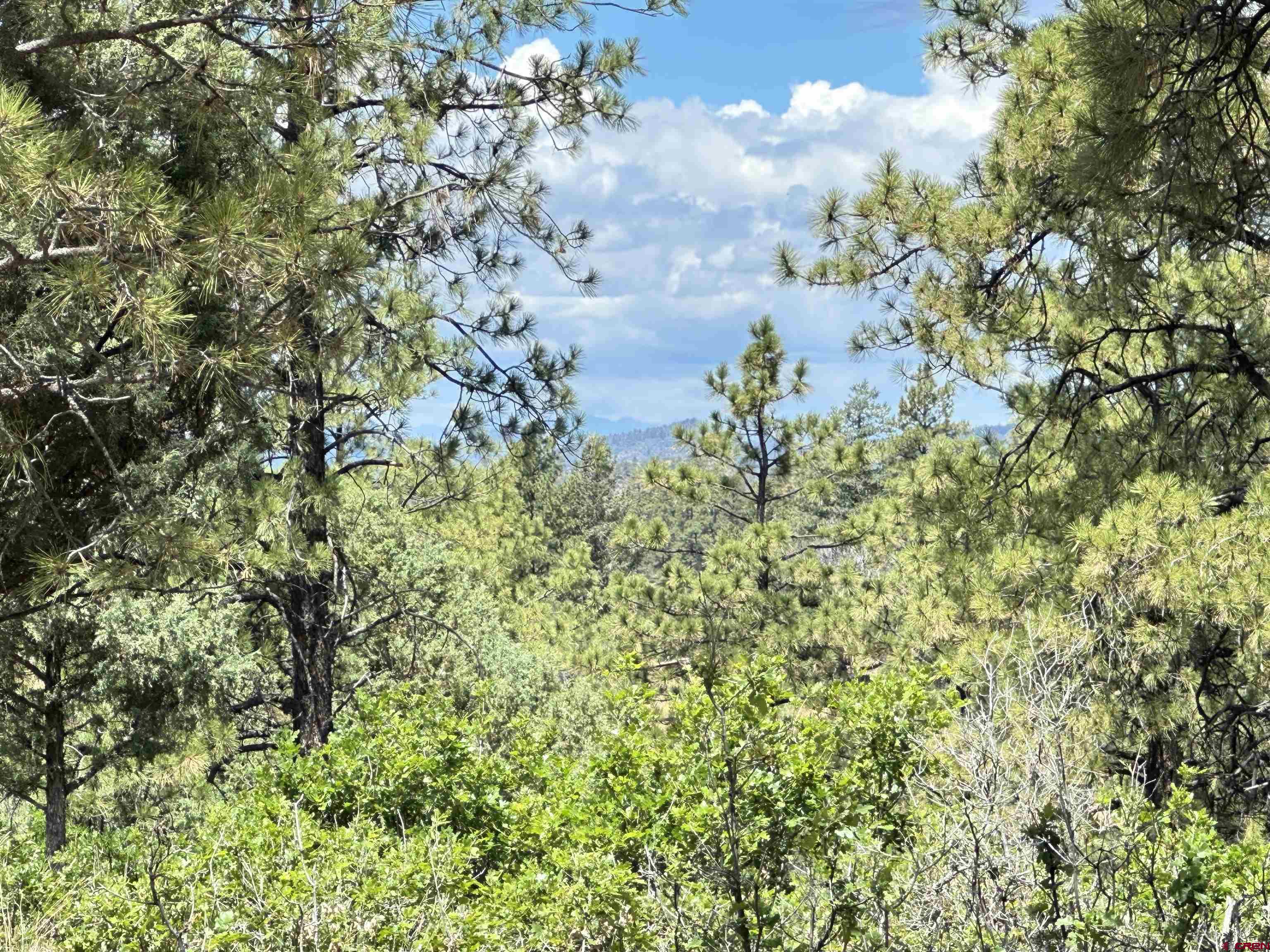 121 Engineer Point Pagosa Springs, CO 81147 - Photo 12 of 43