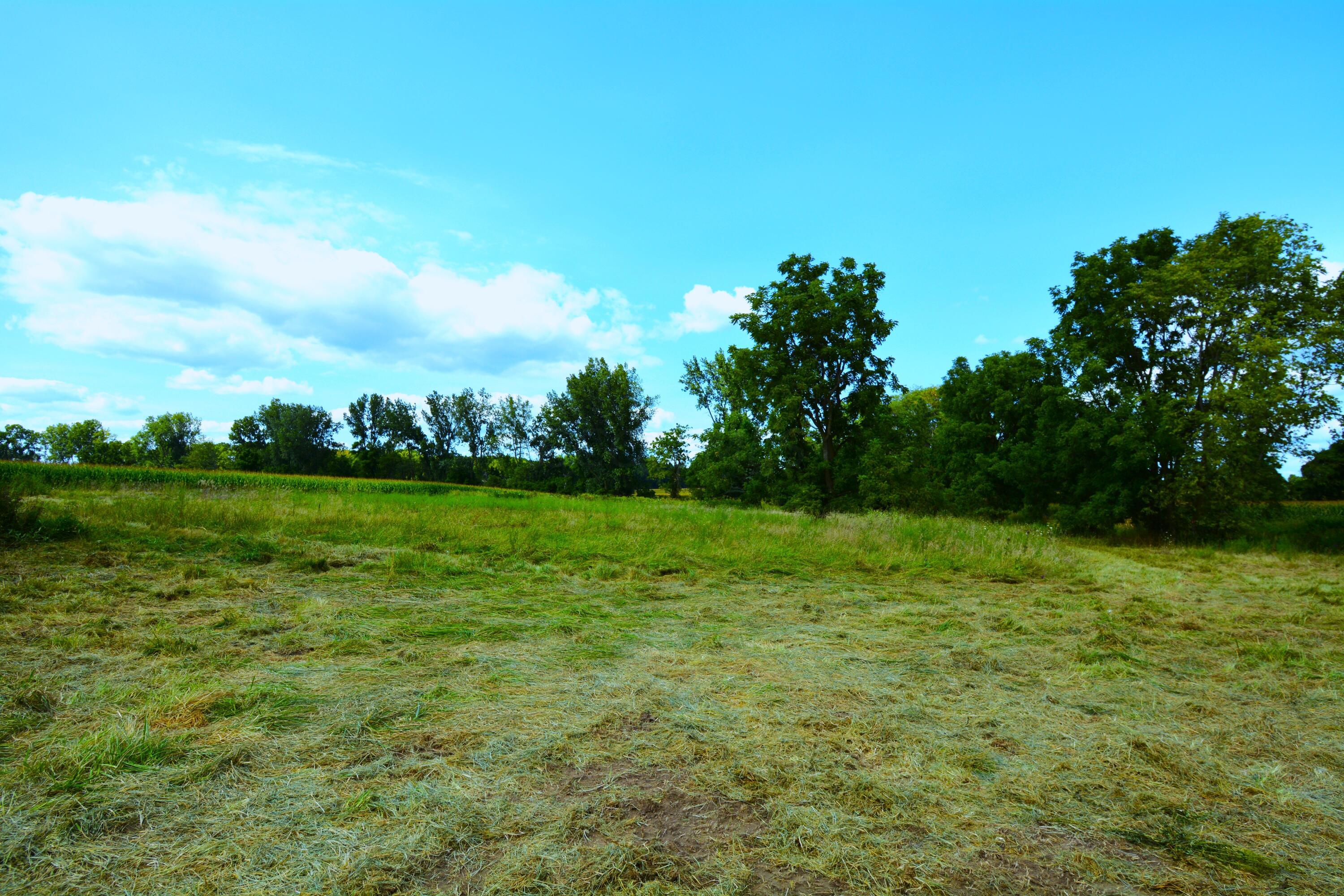 2803 County Road 69 Edison, OH 43320 - Photo 5 of 6 DSC_6855