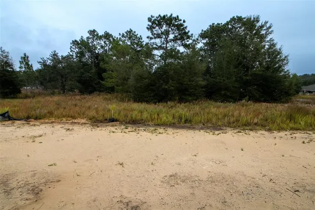 a view of road and yard