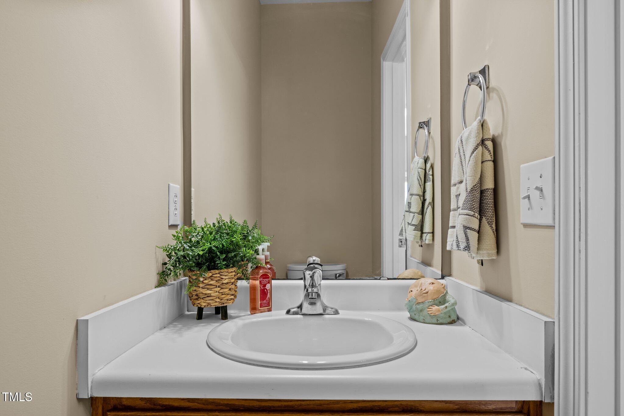 1674 Snow Mass Way Durham, NC 27713 - Photo 11 of 30 a bathroom with a sink and a mirror