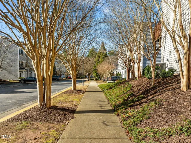 a view of a yard with trees