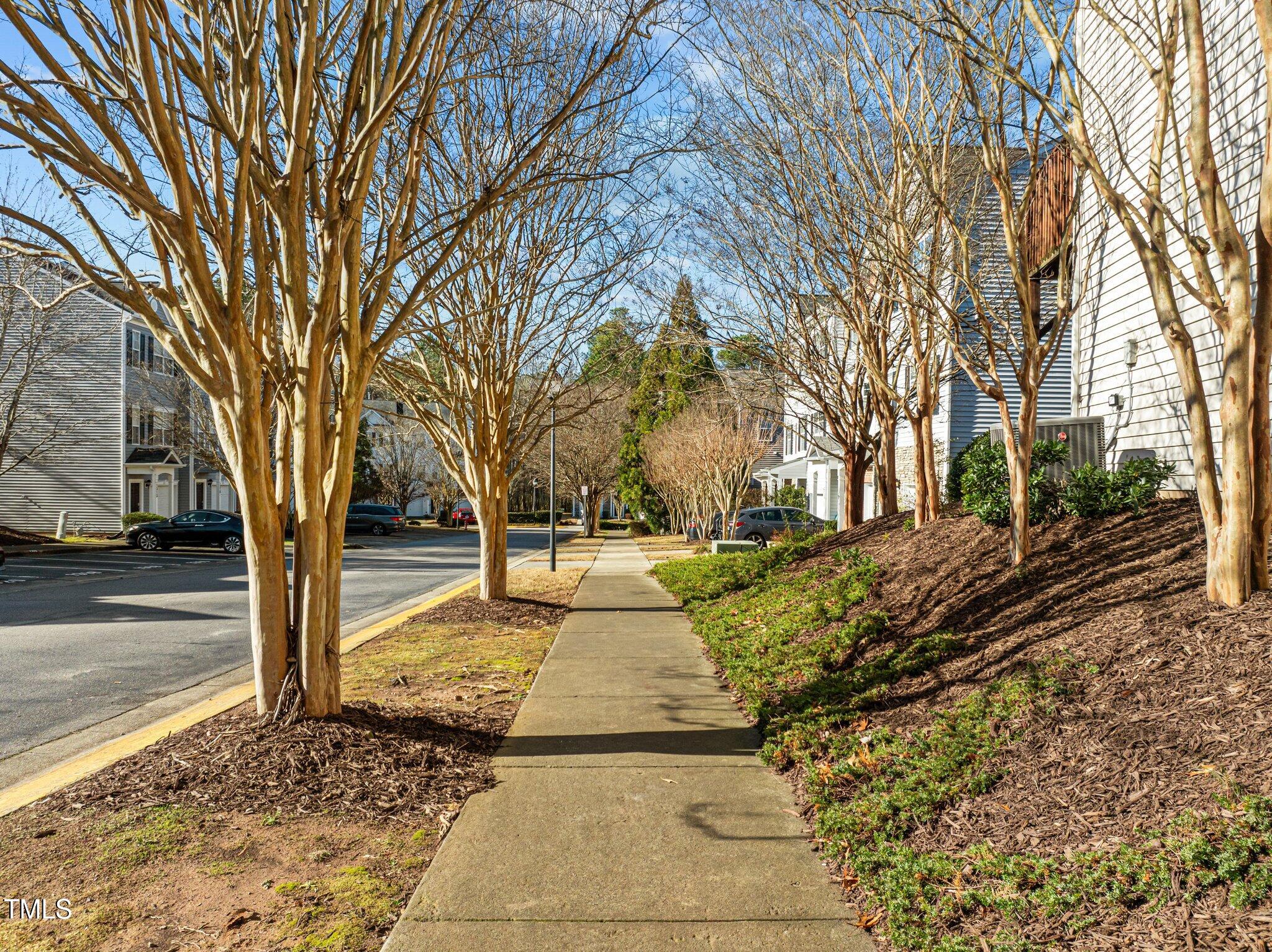 1674 Snow Mass Way Durham, NC 27713 - Photo 30 of 30 a view of a yard with trees