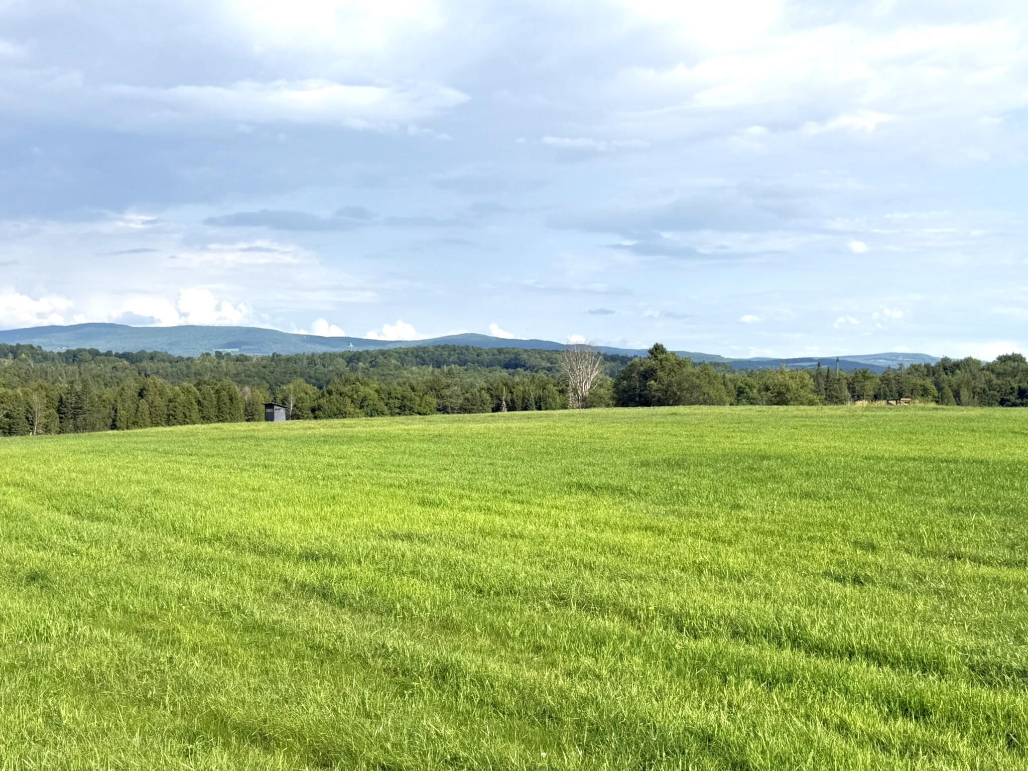 0 Cobb School Road Hardwick, VT 05843 - Photo 8 of 18 Gallery Image 8