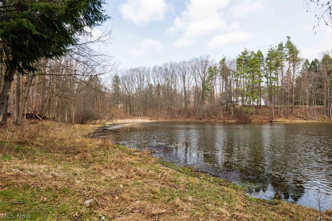 13905 Aquilla Road Burton, OH 44021 - Photo 44 of 50 Gallery Image 44