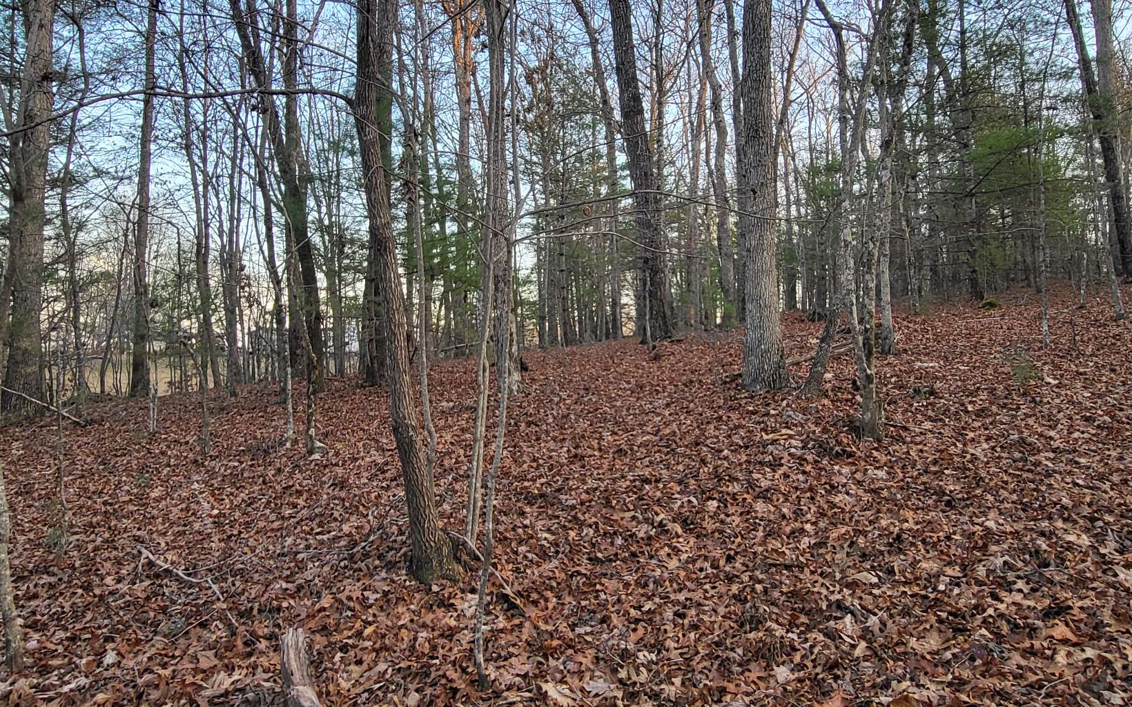 45-acs New Hope Road Morganton, GA 30560 - Photo 64 of 72 Additional View